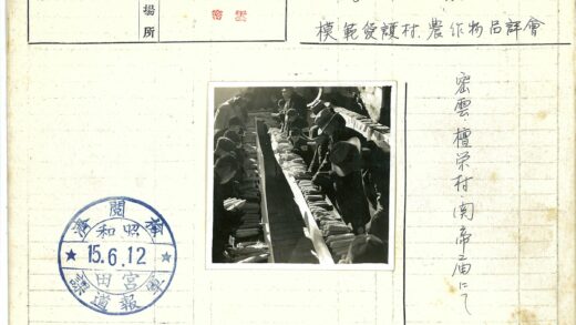 午后阳光下检查玉米的农民.jpg