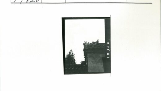 华丽动物屋顶建筑剪影.jpg