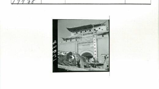 华丽历史建筑与马车街景.jpg