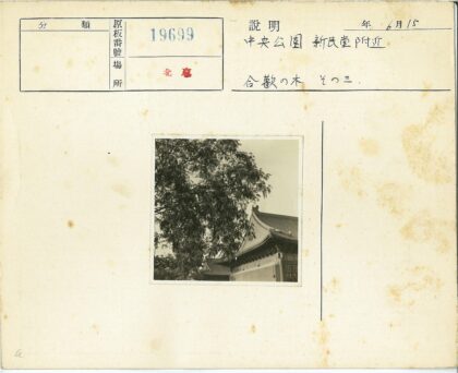 华丽屋顶传统建筑与大树.jpg