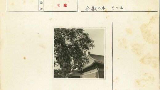 华丽屋顶传统建筑与大树.jpg