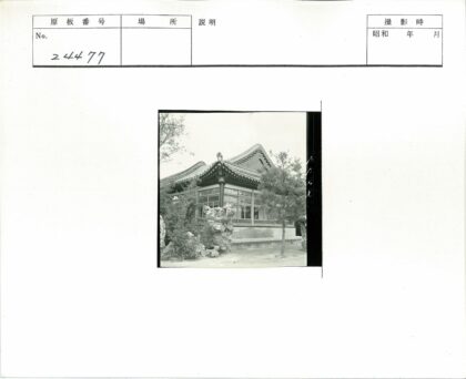 华丽屋顶传统建筑阴天景.jpg