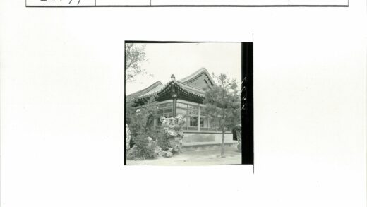 华丽屋顶传统建筑阴天景.jpg