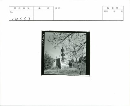 华丽建筑与繁花自然景观.jpg