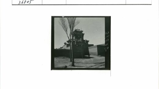 华丽建筑入口与枯树景观.jpg