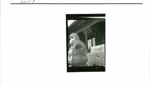 华丽建筑前石狮子雕像与精美木雕.jpg