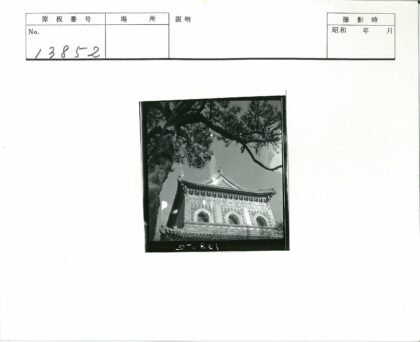 华丽建筑拱窗雕刻树枝前景.jpg