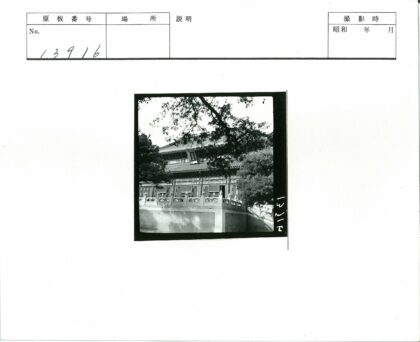 华丽建筑细节与自然绿荫.jpg
