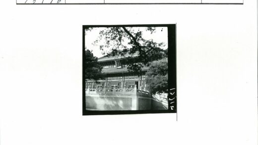 华丽建筑细节与自然绿荫.jpg