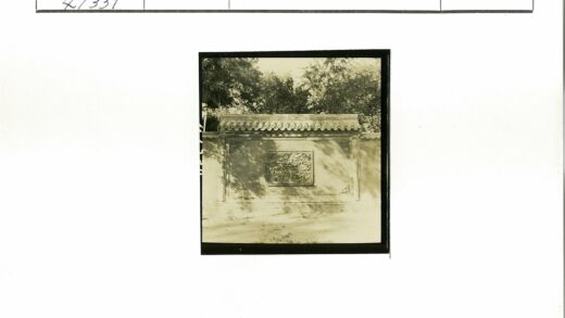 华丽砖墙与装饰板特写.jpg