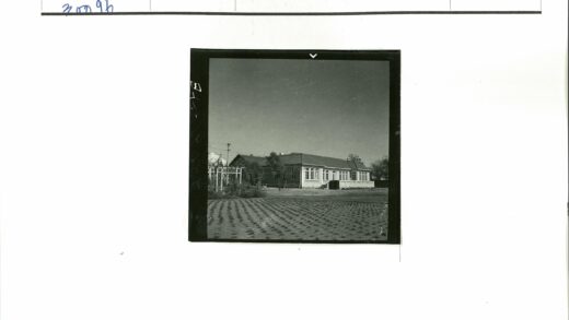 单层建筑田野树木电线杆.jpg