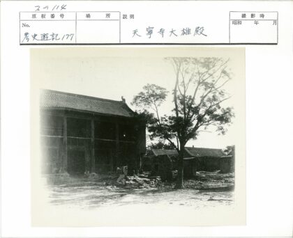 历史建筑与自然绿荫中的工作者.jpg
