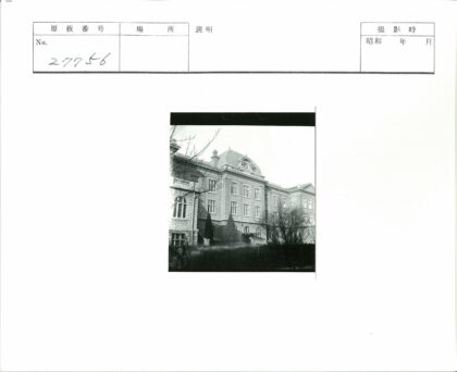 历史石筑建筑与枯木景观.jpg
