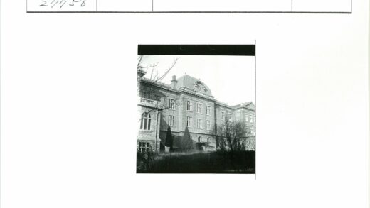 历史石筑建筑与枯木景观.jpg
