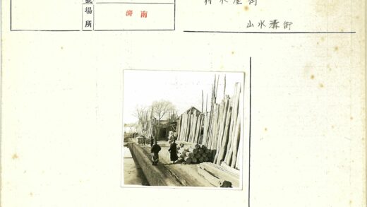 原木堆旁的户外行人.jpg
