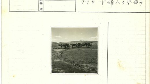 双牛拉车草地溪山景.jpg
