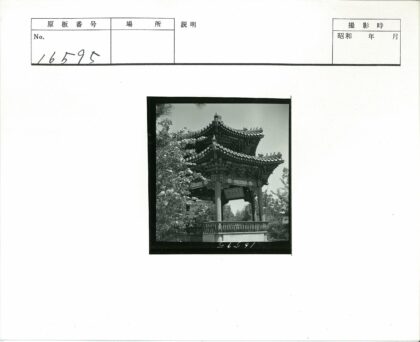 古亭绿荫晴空下.jpg