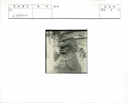 古代石狮雕刻特写.jpg