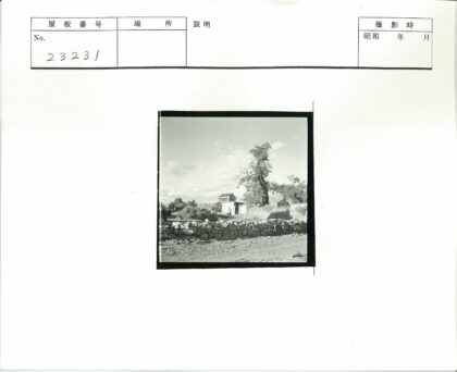 古典宝塔绿树环绕石墙景观.jpg
