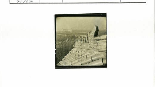 古典建筑屋顶雕像与朦胧天际线.jpg