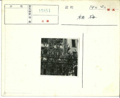 古典建筑铁艺栅栏与绿树景观.jpg