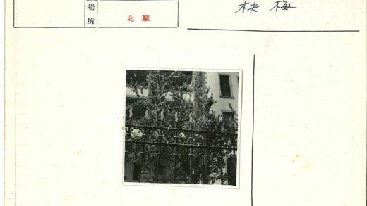 古典建筑铁艺栅栏与绿树景观.jpg
