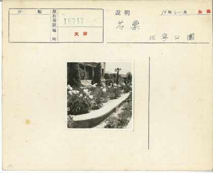古典花园白花与柱廊街灯景观.jpg