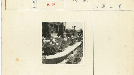 古典花园白花与柱廊街灯景观.jpg