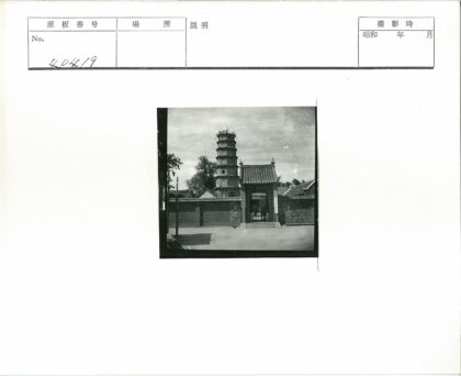 古塔大门砖墙树影.jpg