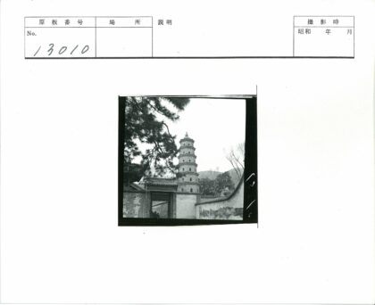 古塔山门树枝远景.jpg