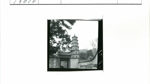 古塔山门树枝远景.jpg