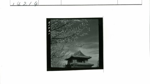 古塔春枝映蓝天.jpg