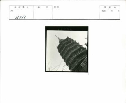 古塔晴空枝影黑白照.jpg