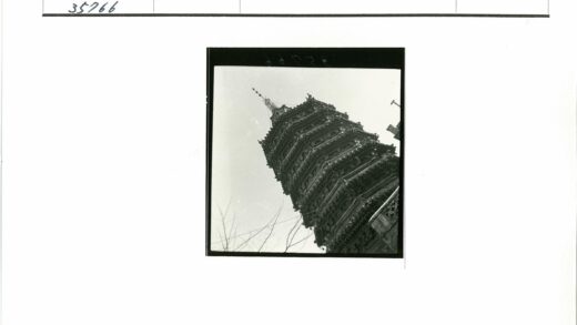 古塔晴空枝影黑白照.jpg