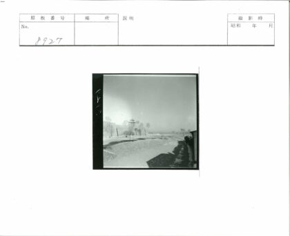 古塔林荫土路晴空远树.jpg