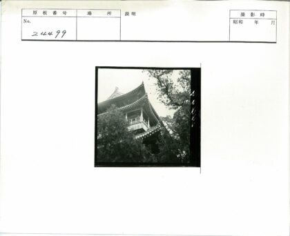 古塔林间静谧屋顶繁复.jpg