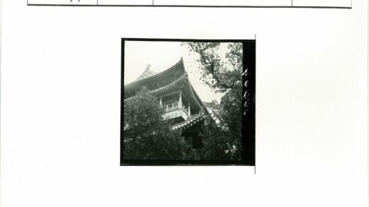 古塔林间静谧屋顶繁复.jpg