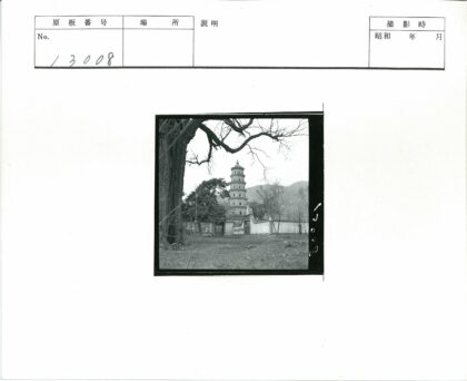 古塔枯树山景院落.jpg