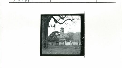 古塔枯树山景院落.jpg