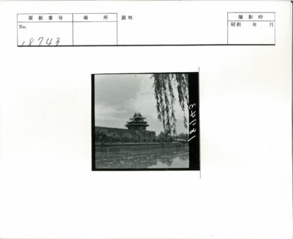 古塔绿柳石墙河景.jpg