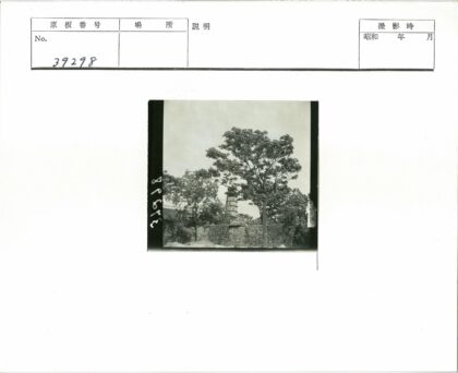古塔绿树石墙晴空.jpg