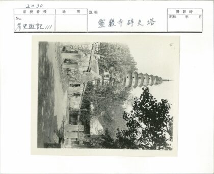 古塔绿荫传统建筑.jpg
