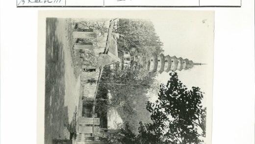 古塔绿荫传统建筑.jpg