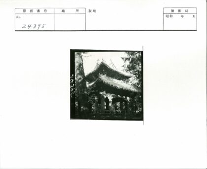 古塔绿荫阳光影.jpg