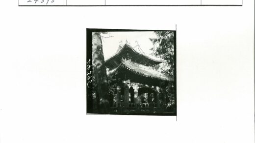 古塔绿荫阳光影.jpg