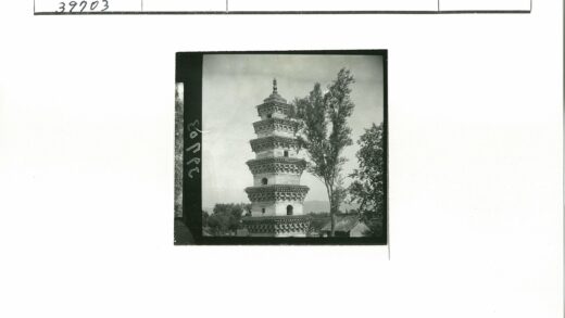 古塔群山晴空树景.jpg