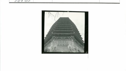 古塔雕刻与天空树枝.jpg