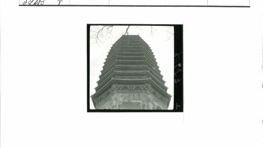 古塔雕纹与枯枝远景.jpg