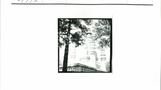 古寺石林隐现绿荫中.jpg