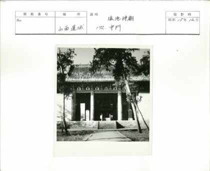 古建华丽屋顶与林荫步道.jpg